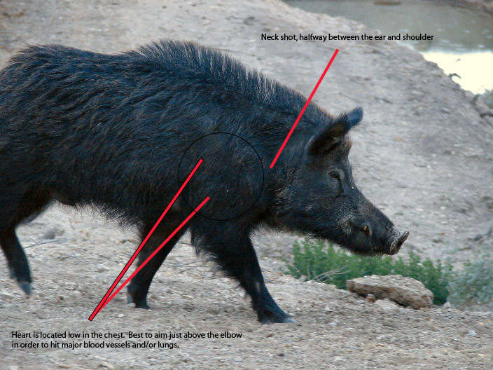 Descent Pig And Hog Filest
